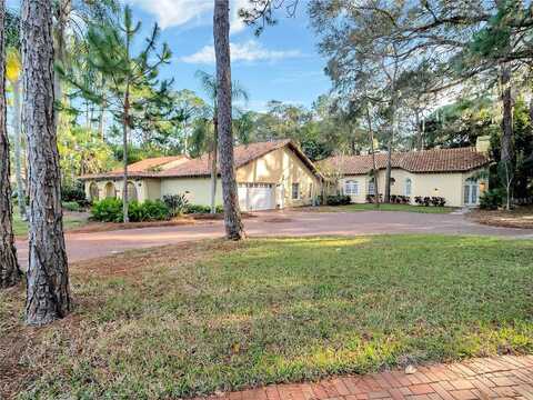 Margolin, CLEARWATER, FL 33764