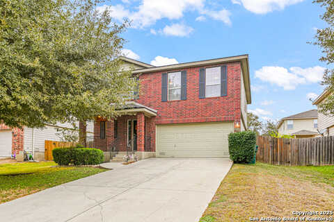 Lilac, UNIVERSAL CITY, TX 78148
