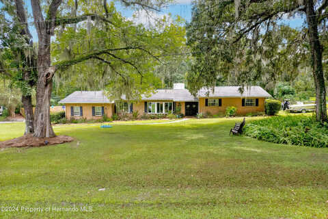 Dewitt, BROOKSVILLE, FL 34601