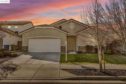 Maple, OAKLEY, CA 94561