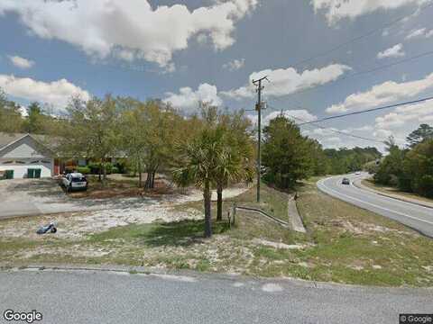 Sparkleberry, NICEVILLE, FL 32578