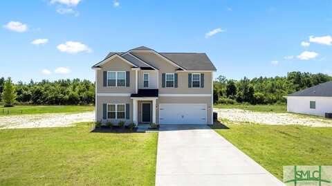 Summerhill, LUDOWICI, GA 31316