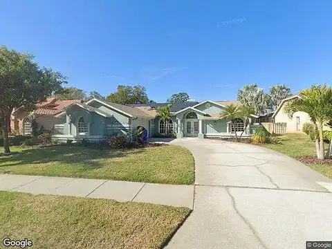 Jarvis, PALM HARBOR, FL 34683