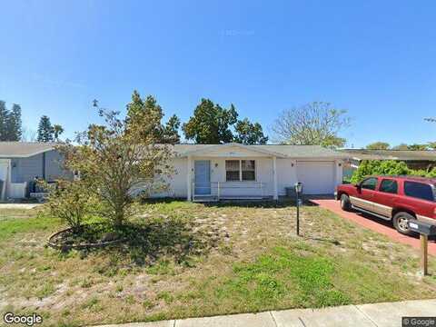 Cochise, PORT RICHEY, FL 34668