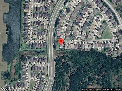White Poplar, RIVERVIEW, FL 33578