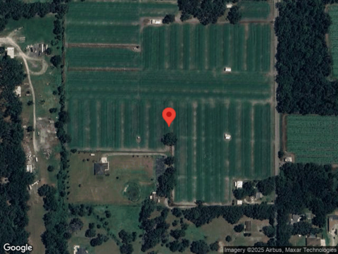 Mcintosh, DOVER, FL 33527