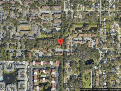 Fiesta Ridge, TAMPA, FL 33604