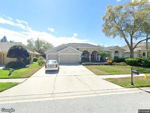 Auston, PALM HARBOR, FL 34685