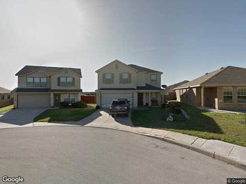 Texas Hawthorn, SAN ANTONIO, TX 78261