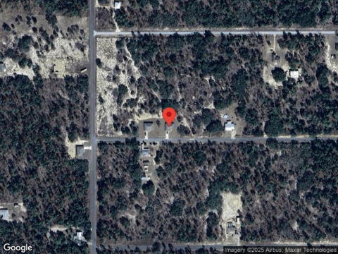 Nectarine, DUNNELLON, FL 34431