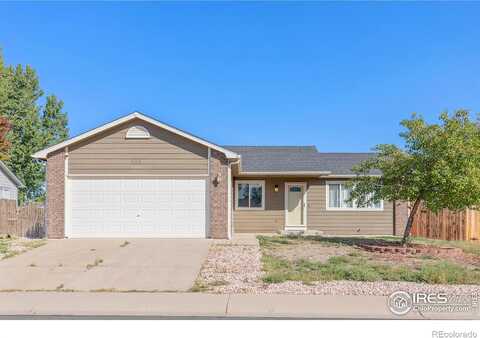 Mountain Ash, MILLIKEN, CO 80543