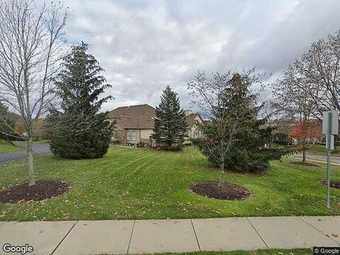 Sycamore, SEVEN FIELDS, PA 16046