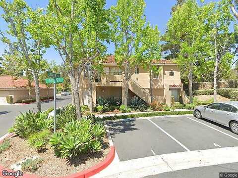 Cinnamon Teal, ALISO VIEJO, CA 92656