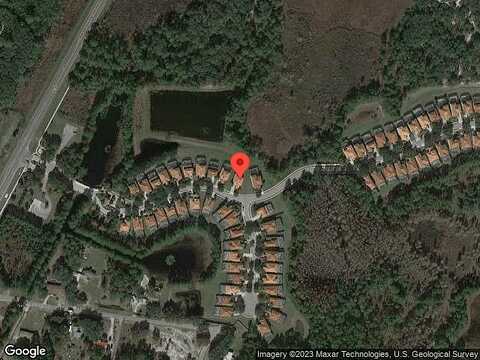 Orange Cosmos, DAVENPORT, FL 33837