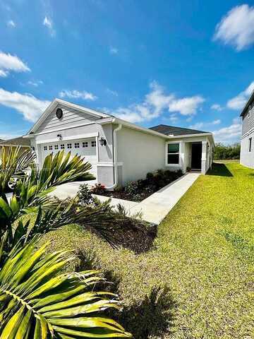 Papaya, DAVENPORT, FL 33897