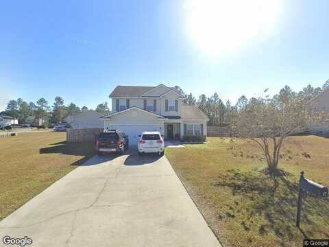 Marion, LUDOWICI, GA 31316