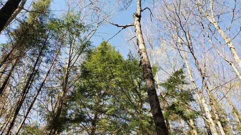 9 South Lake Road, Phillips, WI 54555