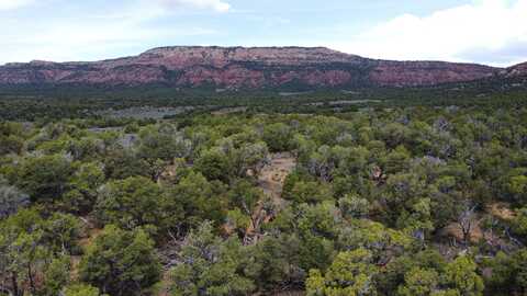 TBD County Road 95, Dinosaur, CO 81610
