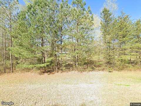 Roosevelt Hwy Unit 7.97, Luthersville, GA 30251