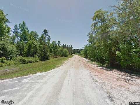 Hummingbird Lane, Odum, GA 31555