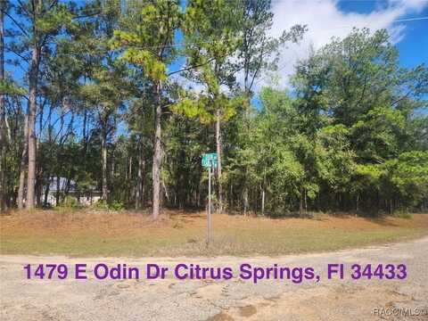 1479 E Odin Drive, Citrus Springs, FL 34433
