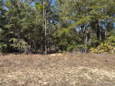 497 W Hummingbird Drive, Citrus Springs, FL 34434