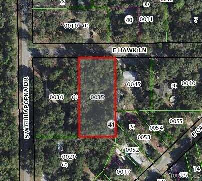 11682 E Hawk Lane, Floral City, FL 34436