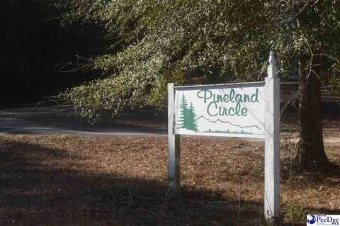 Lot 11 Pineland Circle, Hartsville, SC 29550