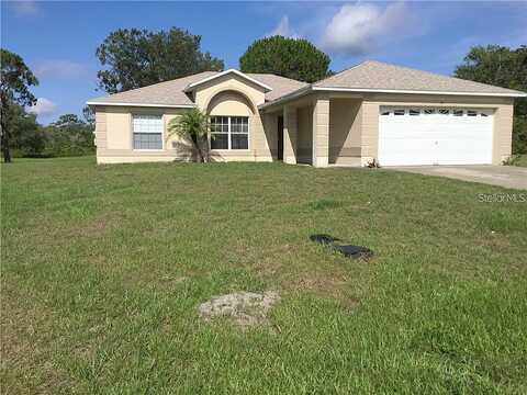 Sawfish, KISSIMMEE, FL 34759