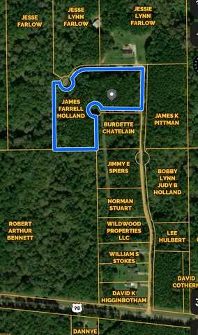 0 MAYPOP LN, Meadville, MS 39653