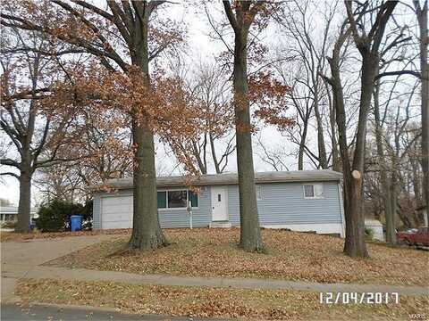 Hadwin, FLORISSANT, MO 63033