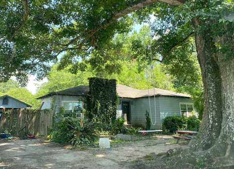 Camellia, SAINT FRANCISVILLE, LA 70775