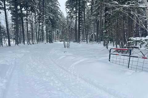 Bear Creek, BIGFORK, MT 59911