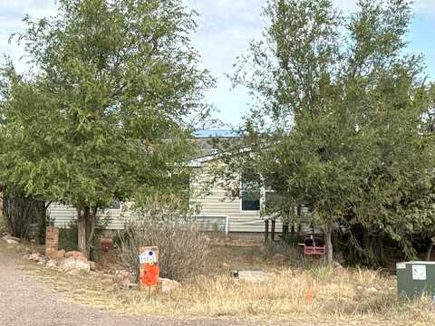 Coyote, COAL CREEK, CO 81221