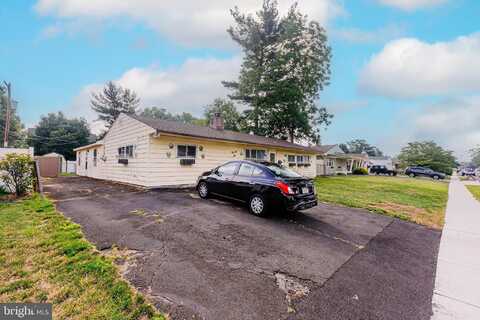 Elderberry, LEVITTOWN, PA 19054