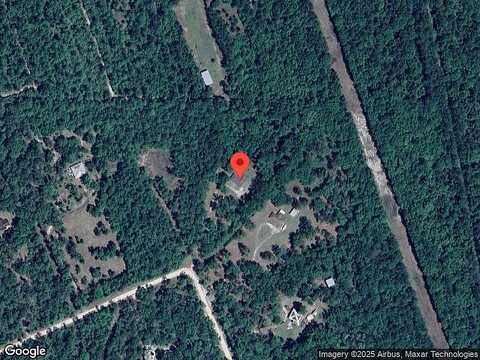 Pine, CRAWFORDVILLE, FL 32327