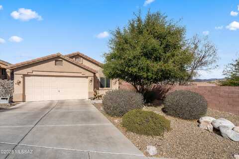 61080 E Halter Place, Saddlebrooke, AZ 85739