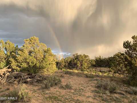 9 COUNTY ROAD N7340 --, Saint Johns, AZ 85936