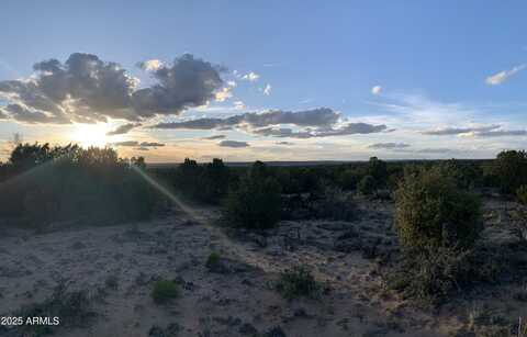 9 COUNTY ROAD N7340 --, Saint Johns, AZ 85936