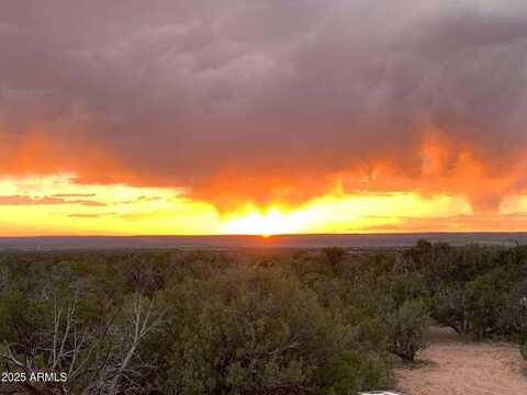 9 COUNTY ROAD N7340 --, Saint Johns, AZ 85936