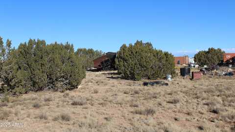 1527 Chevelon Avenue, Heber, AZ 85928