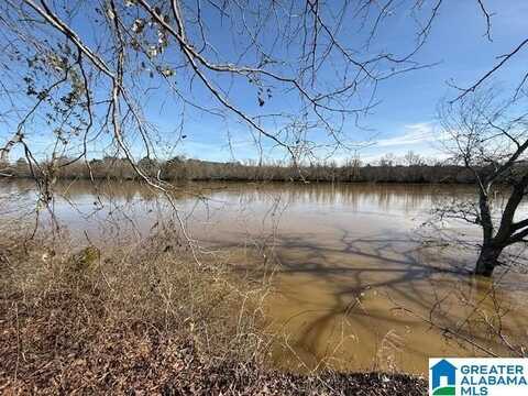 2247 LOCK 3 ROAD, RAGLAND, AL 35131