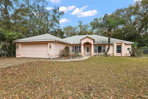 2541 LAKE GRIFFIN ROAD, LADY LAKE, FL 32159