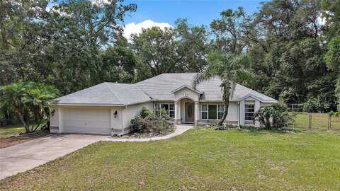 2541 LAKE GRIFFIN ROAD, LADY LAKE, FL 32159