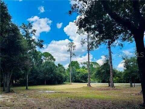 2530 N MOHAWK DRIVE W, AVON PARK, FL 33825