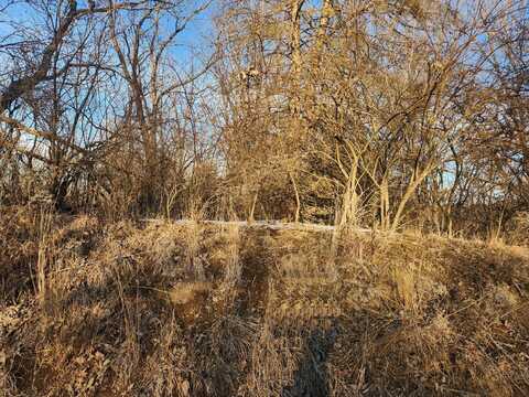 Lot 1536 Lake Wildwood Drive, Varna, IL 61375