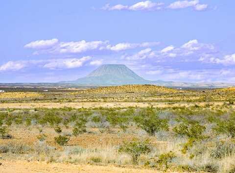 15745 Fort Concho Dr, Terlingua, TX 79852