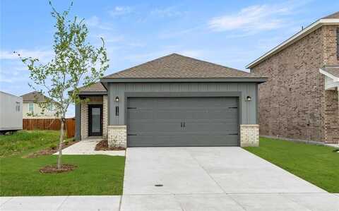 113 Three Chimneys Lane, Anna, TX 75409