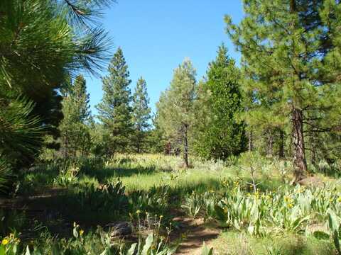 288 Arrowleaf Road, Portola, CA 96122