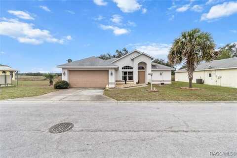 10501 S Drew Bryant Circle, Floral City, FL 34436